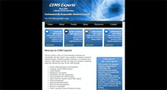 Desktop Screenshot of cems-experts.com